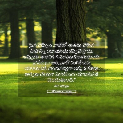 Picture 05 - లేవీకాండం 5:13 TELIRV - పైన చెప్పిన - Bible Verse Picture