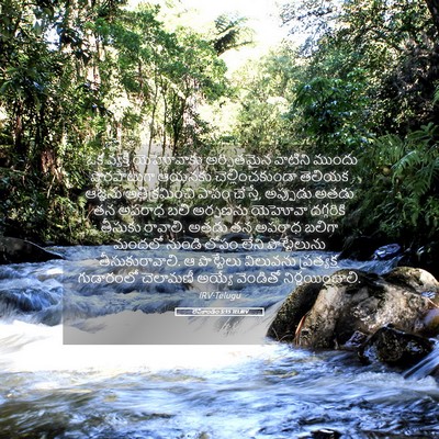 Picture 05 - లేవీకాండం 5:15 TELIRV - “ఒక వ్యక్తి - Bible Verse Picture