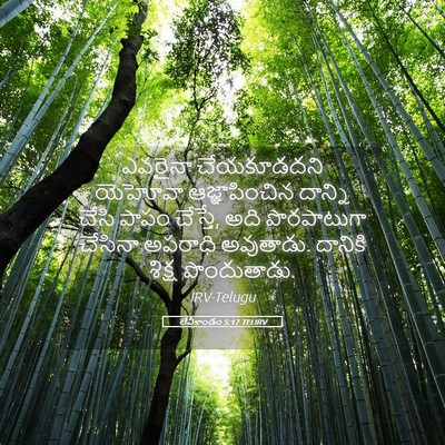 Picture 05 - లేవీకాండం 5:17 TELIRV - ఎవరైనా చేయకూడదని - Bible Verse Picture