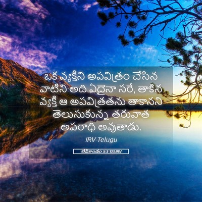 Picture 05 - లేవీకాండం 5:3 TELIRV - ఒక వ్యక్తిని - Bible Verse Picture