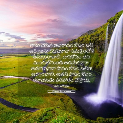 Picture 05 - లేవీకాండం 5:6 TELIRV - తాను చేసిన అపరాధం - Bible Verse Picture