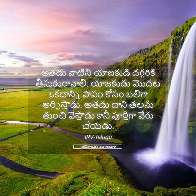 Picture 05 - లేవీకాండం 5:8 TELIRV - అతడు వాటిని - Bible Verse Picture