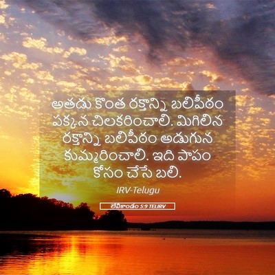 Picture 05 - లేవీకాండం 5:9 TELIRV - అతడు కొంత - Bible Verse Picture