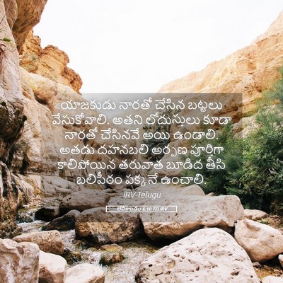 Picture 05 - లేవీకాండం 6:10 TELIRV - యాజకుడు నారతో - Bible Verse Picture
