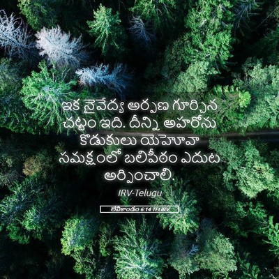 Picture 05 - లేవీకాండం 6:14 TELIRV - ఇక నైవేద్య అర్పణ - Bible Verse Picture