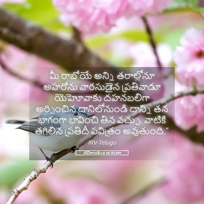Picture 05 - లేవీకాండం 6:18 TELIRV - మీ రాబోయే అన్ని - Bible Verse Picture