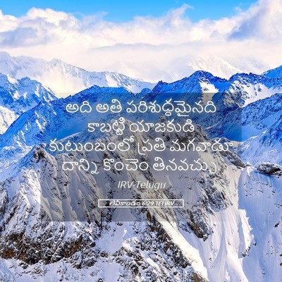 Picture 05 - లేవీకాండం 6:29 TELIRV - అది అతి - Bible Verse Picture