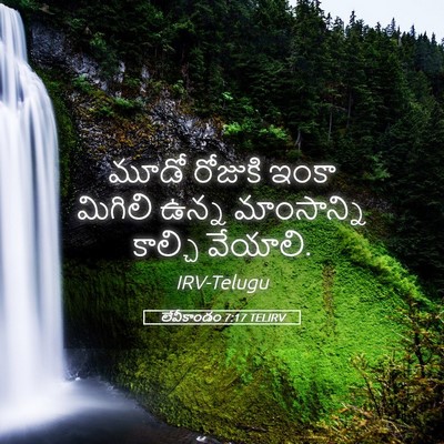 Picture 05 - లేవీకాండం 7:17 TELIRV - మూడో రోజుకి ఇంకా - Bible Verse Picture
