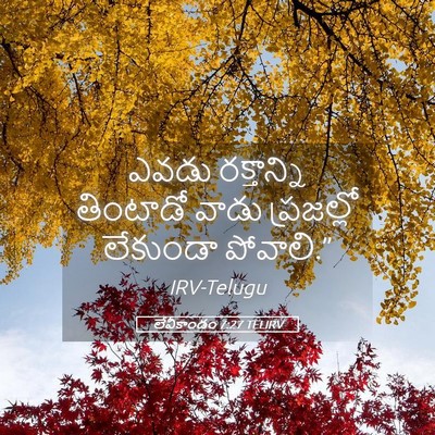 Picture 05 - లేవీకాండం 7:27 TELIRV - ఎవడు రక్తాన్ని - Bible Verse Picture
