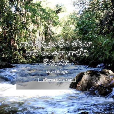 Picture 05 - లేవీకాండం 7:3 TELIRV - దాని కొవ్వు - Bible Verse Picture