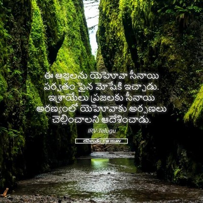 Picture 05 - లేవీకాండం 7:38 TELIRV - ఈ ఆజ్ఞలను యెహోవా - Bible Verse Picture
