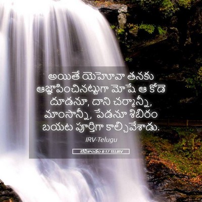 Picture 05 - లేవీకాండం 8:17 TELIRV - అయితే యెహోవా తనకు - Bible Verse Picture