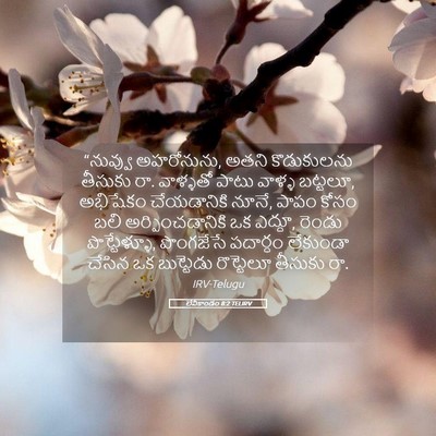 Picture 05 - లేవీకాండం 8:2 TELIRV - “నువ్వు అహరోనును, - Bible Verse Picture