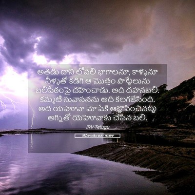 Picture 05 - లేవీకాండం 8:21 TELIRV - అతడు దాని లోపలి - Bible Verse Picture