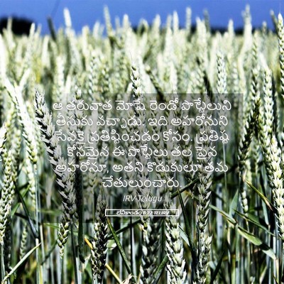 Picture 05 - లేవీకాండం 8:22 TELIRV - ఆ తరువాత మోషే - Bible Verse Picture