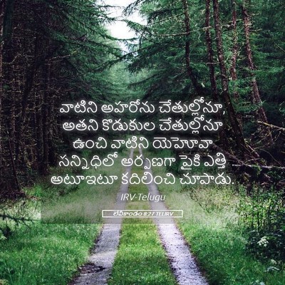 Picture 05 - లేవీకాండం 8:27 TELIRV - వాటిని అహరోను - Bible Verse Picture