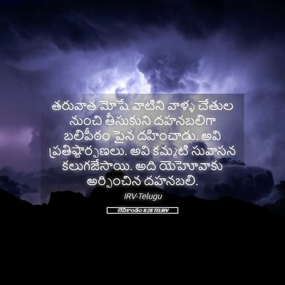Picture 05 - లేవీకాండం 8:28 TELIRV - తరువాత మోషే - Bible Verse Picture