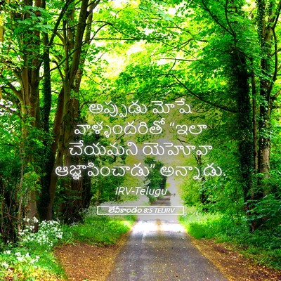 Picture 05 - లేవీకాండం 8:5 TELIRV - అప్పుడు మోషే - Bible Verse Picture