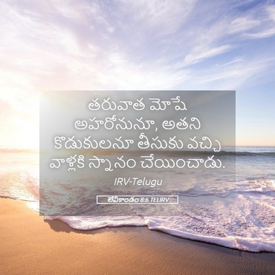 Picture 05 - లేవీకాండం 8:6 TELIRV - తరువాత మోషే - Bible Verse Picture