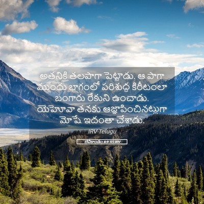 Picture 05 - లేవీకాండం 8:9 TELIRV - అతనికి తలపాగా - Bible Verse Picture