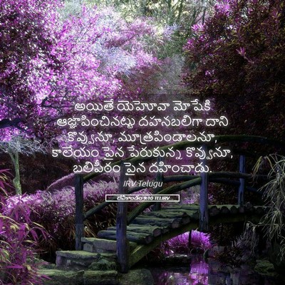 Picture 05 - లేవీకాండం 9:10 TELIRV - అయితే యెహోవా - Bible Verse Picture