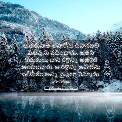 Picture 05 - లేవీకాండం 9:12 TELIRV - ఆ తరువాత అహరోను - Bible Verse Picture