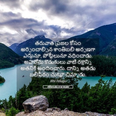 Picture 05 - లేవీకాండం 9:18 TELIRV - తరువాత ప్రజల కోసం - Bible Verse Picture