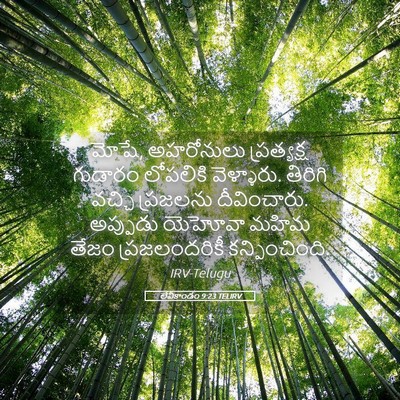Picture 05 - లేవీకాండం 9:23 TELIRV - మోషే, అహరోనులు - Bible Verse Picture
