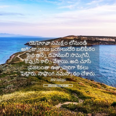 Picture 05 - లేవీకాండం 9:24 TELIRV - యెహోవా సమక్షం - Bible Verse Picture