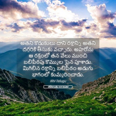 Picture 05 - లేవీకాండం 9:9 TELIRV - అతని కొడుకులు - Bible Verse Picture