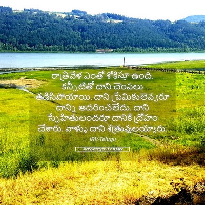 Picture 05 - విలాపవాక్యాలు 1:2 TELIRV - రాత్రివేళ ఎంతో - Bible Verse Picture