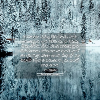 Picture 05 - విలాపవాక్యాలు 1:20 TELIRV - యెహోవా, నన్ను తేరి - Bible Verse Picture