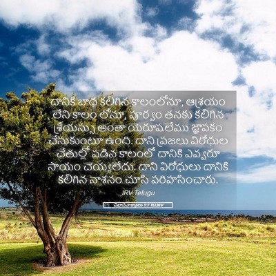 Picture 05 - విలాపవాక్యాలు 1:7 TELIRV - దానికి బాధ కలిగిన - Bible Verse Picture