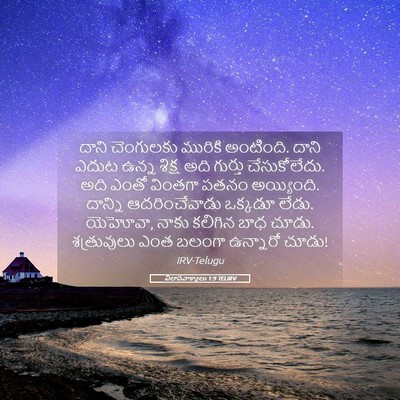 Picture 05 - విలాపవాక్యాలు 1:9 TELIRV - దాని చెంగులకు - Bible Verse Picture