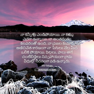 Picture 05 - విలాపవాక్యాలు 2:11 TELIRV - నా కన్నీళ్లు - Bible Verse Picture