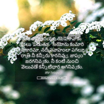 Picture 05 - విలాపవాక్యాలు 2:18 TELIRV - ప్రజల హృదయం - Bible Verse Picture