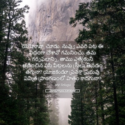 Picture 05 - విలాపవాక్యాలు 2:20 TELIRV - యెహోవా, చూడు. - Bible Verse Picture