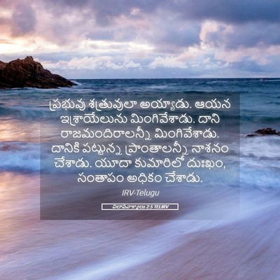 Picture 05 - విలాపవాక్యాలు 2:5 TELIRV - ప్రభువు శత్రువులా - Bible Verse Picture