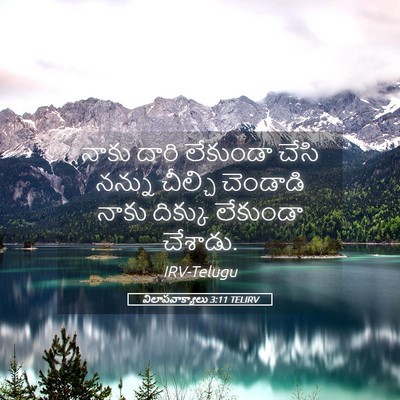 Picture 05 - విలాపవాక్యాలు 3:11 TELIRV - నాకు దారి లేకుండా - Bible Verse Picture