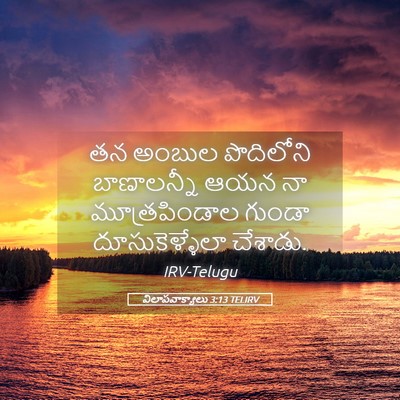 Picture 05 - విలాపవాక్యాలు 3:13 TELIRV - తన అంబుల పొదిలోని - Bible Verse Picture