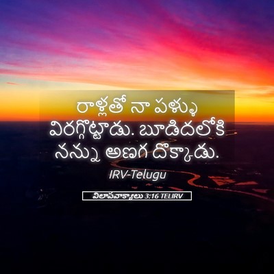 Picture 05 - విలాపవాక్యాలు 3:16 TELIRV - రాళ్లతో నా పళ్ళు - Bible Verse Picture