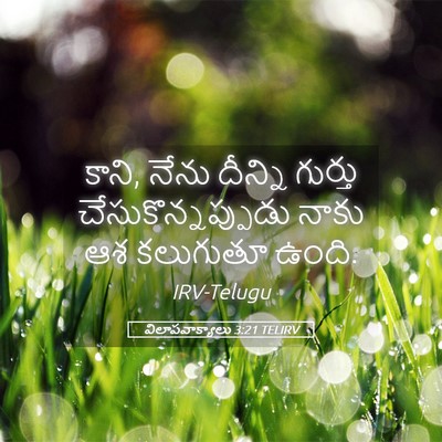Picture 05 - విలాపవాక్యాలు 3:21 TELIRV - కాని, నేను దీన్ని - Bible Verse Picture