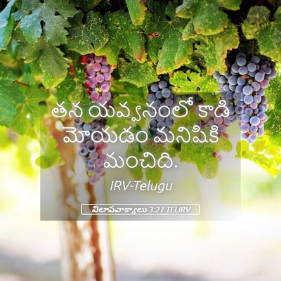 Picture 05 - విలాపవాక్యాలు 3:27 TELIRV - తన యవ్వనంలో కాడి - Bible Verse Picture