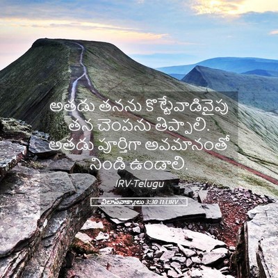 Picture 05 - విలాపవాక్యాలు 3:30 TELIRV - అతడు తనను - Bible Verse Picture