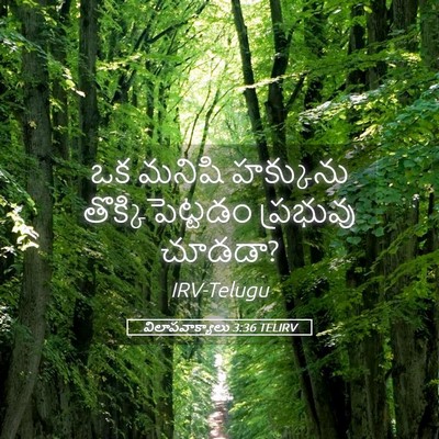 Picture 05 - విలాపవాక్యాలు 3:36 TELIRV - ఒక మనిషి హక్కును - Bible Verse Picture