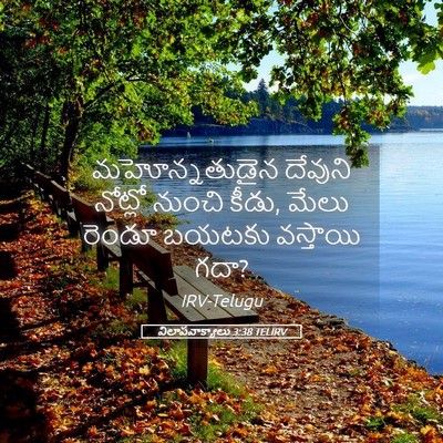 Picture 05 - విలాపవాక్యాలు 3:38 TELIRV - మహోన్నతుడైన - Bible Verse Picture