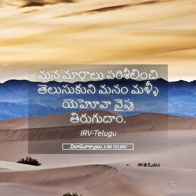 Picture 05 - విలాపవాక్యాలు 3:40 TELIRV - మన మార్గాలు - Bible Verse Picture