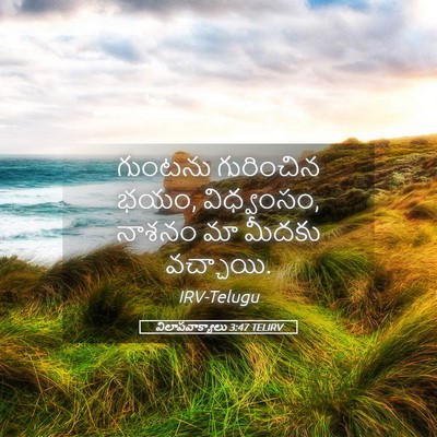 Picture 05 - విలాపవాక్యాలు 3:47 TELIRV - గుంటను గురించిన - Bible Verse Picture
