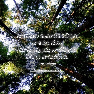 Picture 05 - విలాపవాక్యాలు 3:48 TELIRV - నా ప్రజల కుమారికి - Bible Verse Picture