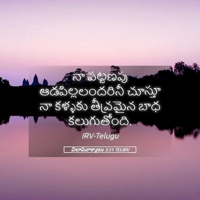 Picture 05 - విలాపవాక్యాలు 3:51 TELIRV - నా పట్టణపు - Bible Verse Picture